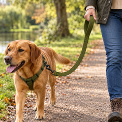 Olive Padded Dog Leash