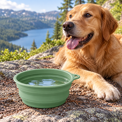 Sage Collapsible Travel Bowl