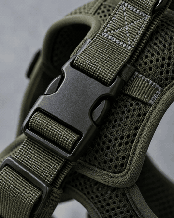 Olive harness buckle and webbing detail